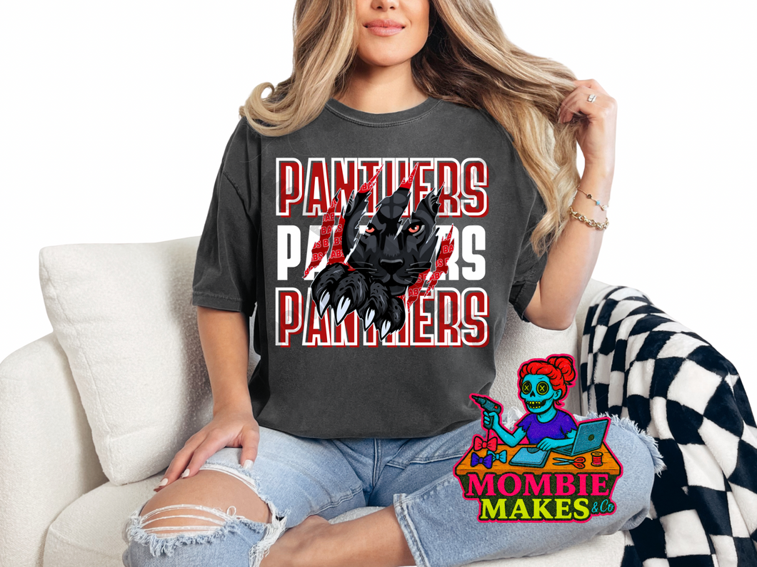 Panthers TShirt Design #2