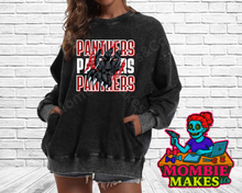 Load image into Gallery viewer, Panthers Sweatshirt Design #1
