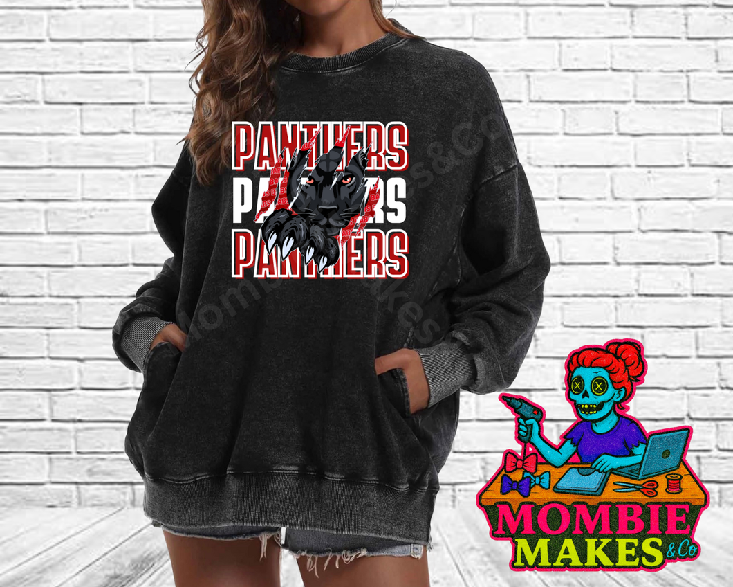 Panthers Sweatshirt Design #1